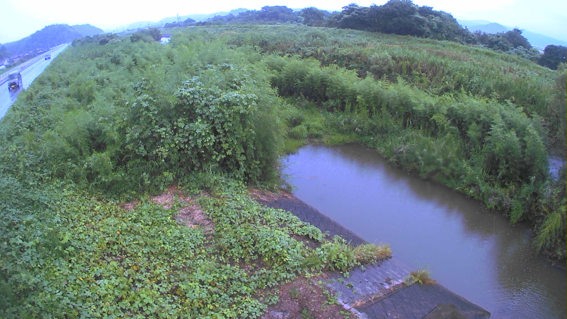 境　法勝寺川 4k800 左岸