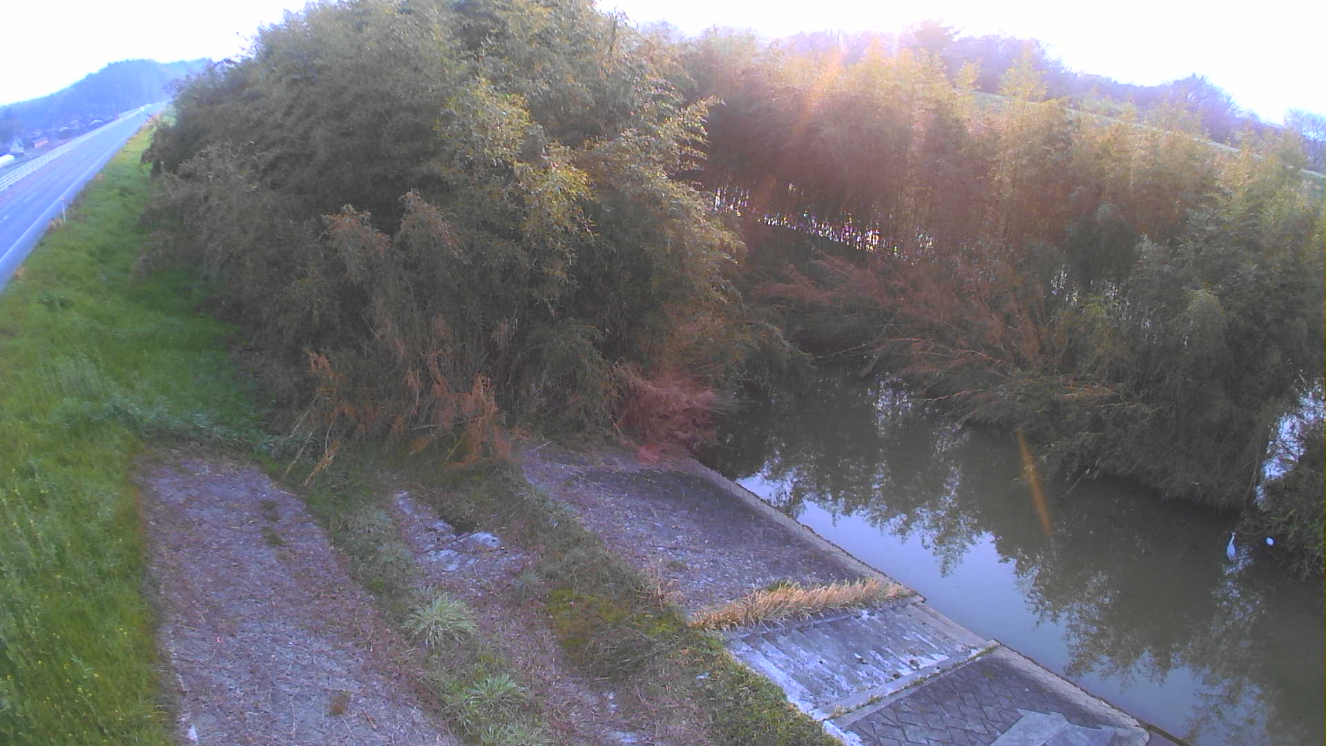 境　法勝寺川 4k800 左岸