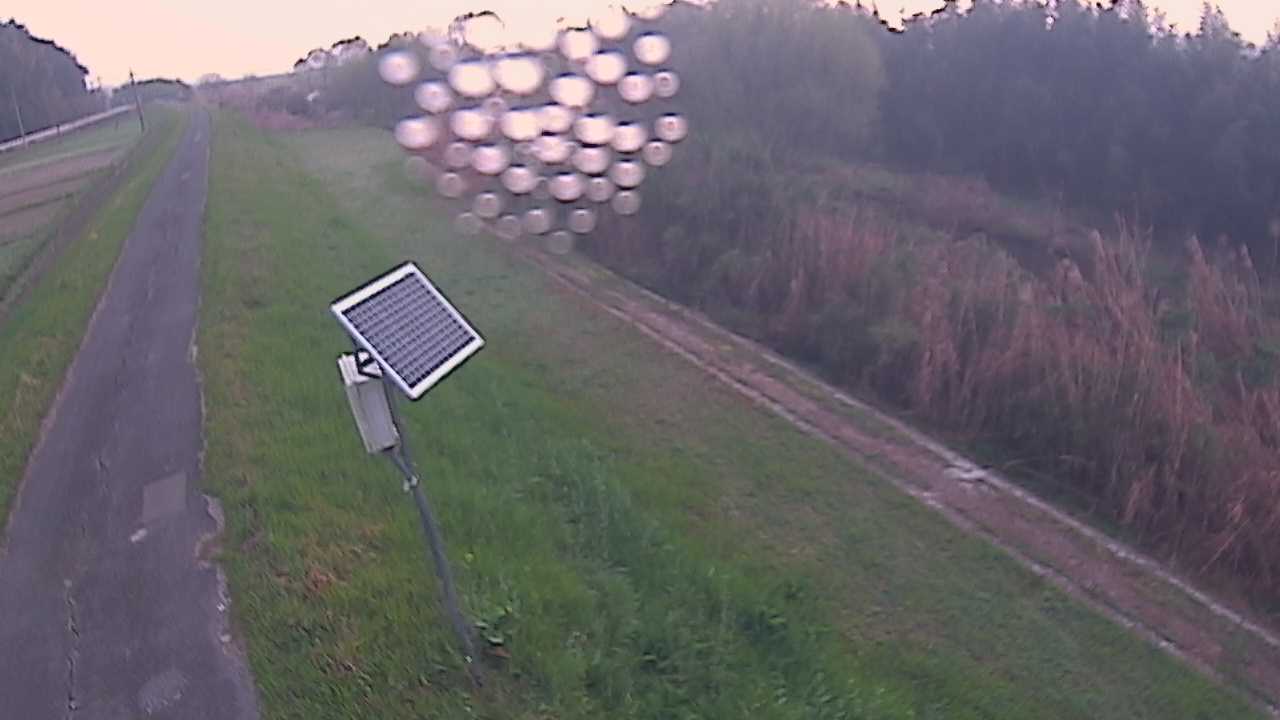 福成　法勝寺川 5k800 左岸