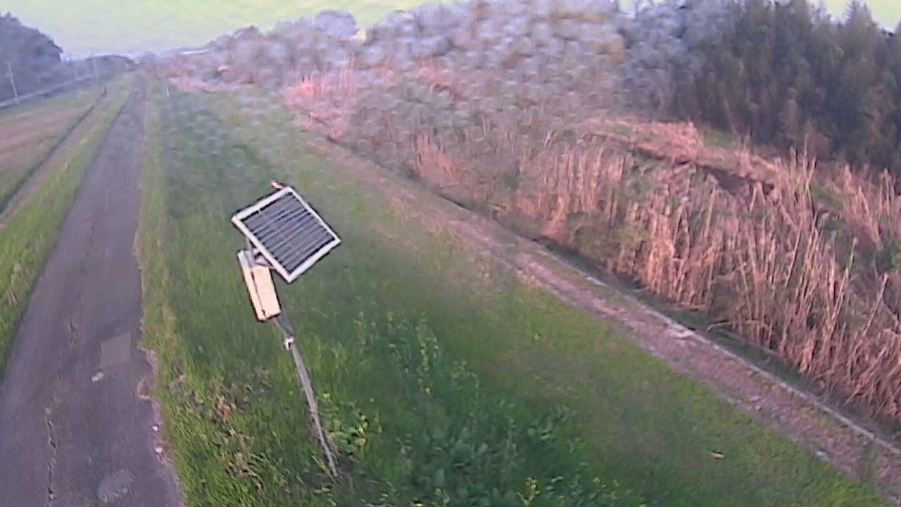 福成　法勝寺川 5k800 左岸