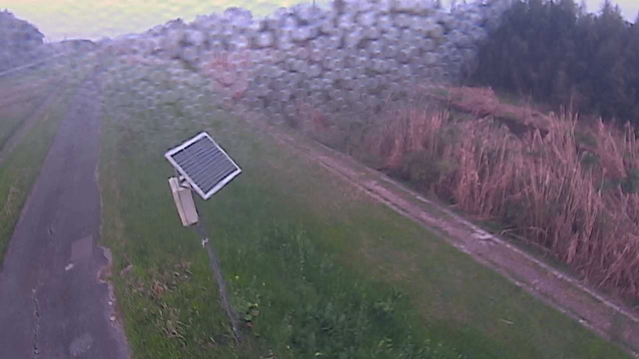 福成　法勝寺川 5k800 左岸