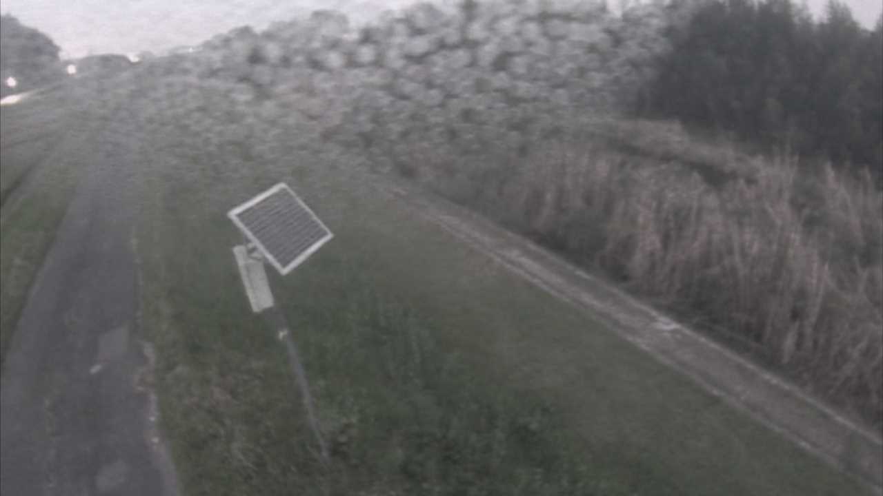 福成　法勝寺川 5k800 左岸