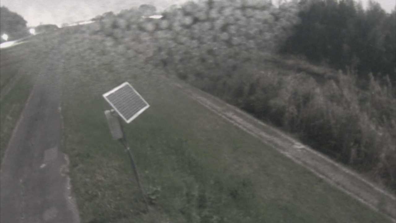 福成　法勝寺川 5k800 左岸