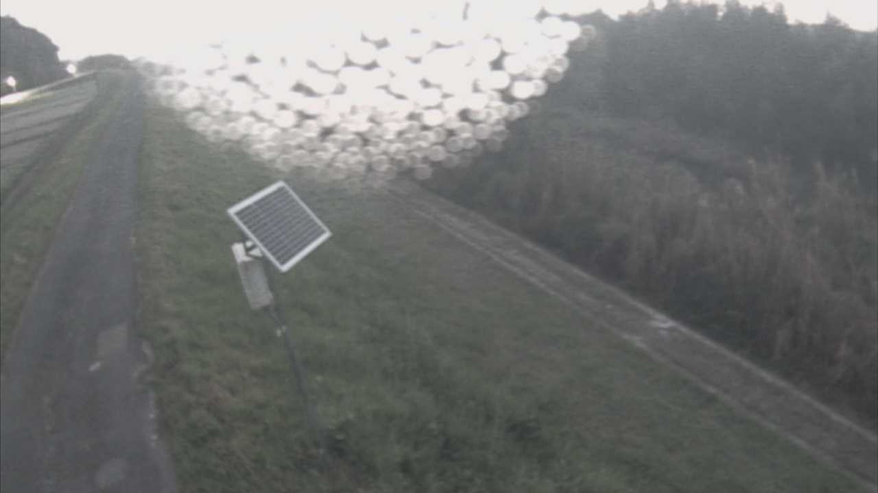 福成　法勝寺川 5k800 左岸