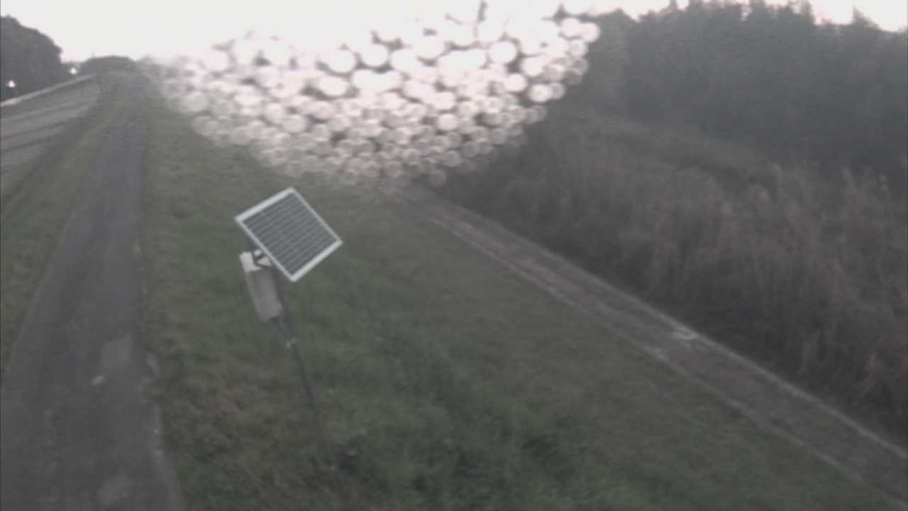 福成　法勝寺川 5k800 左岸