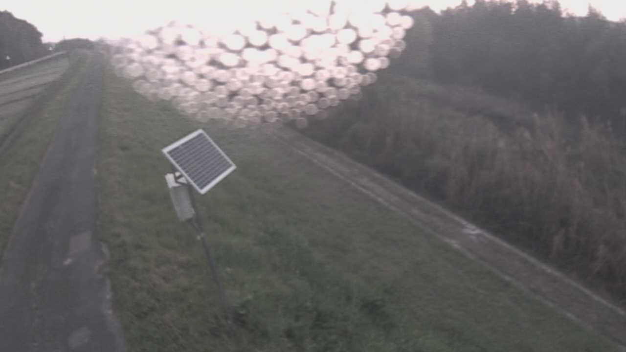 福成　法勝寺川 5k800 左岸