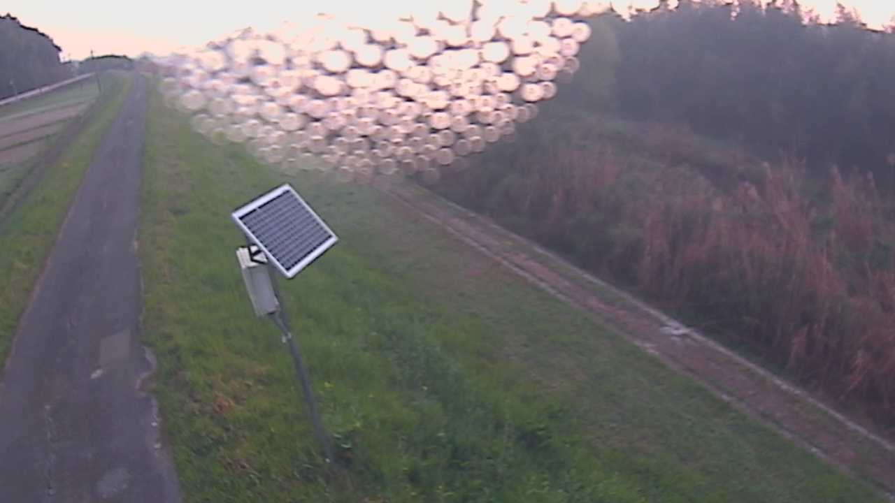 福成　法勝寺川 5k800 左岸