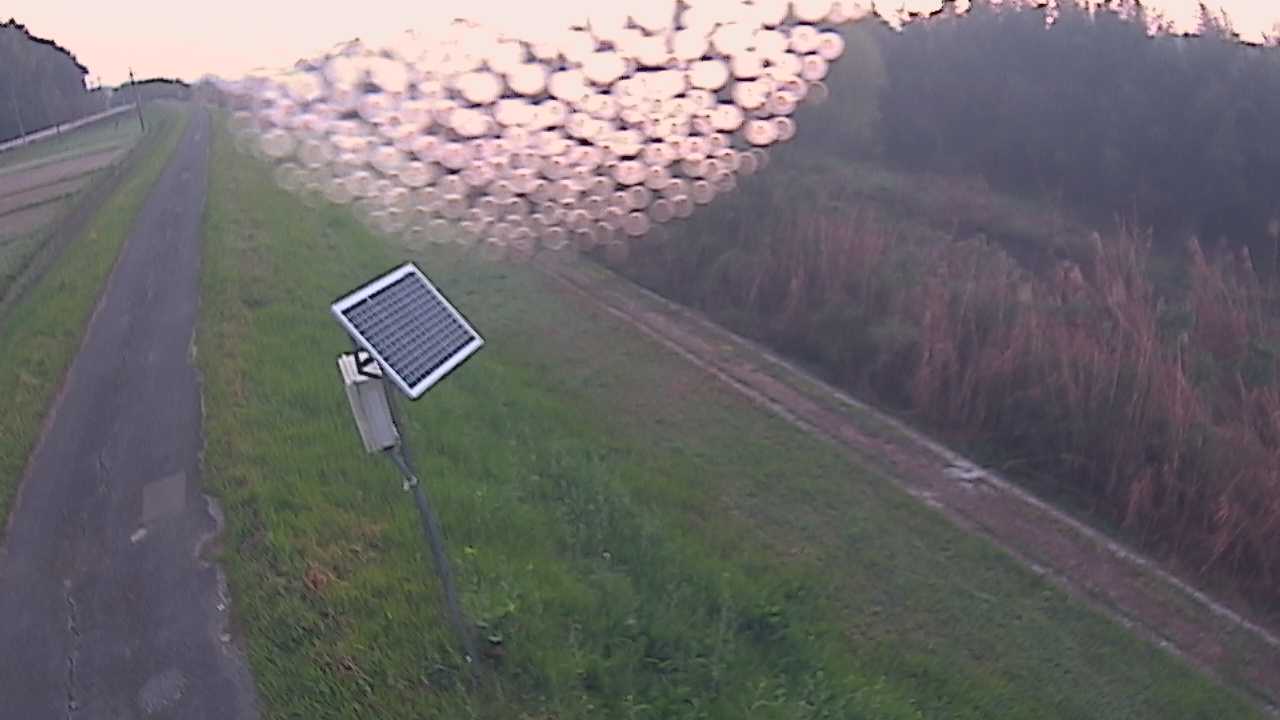 福成　法勝寺川 5k800 左岸