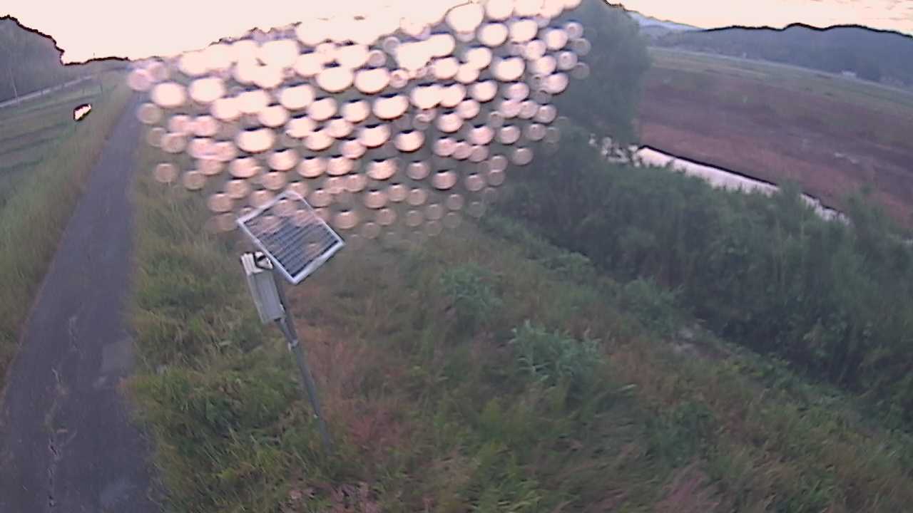 福成　法勝寺川 5k800 左岸