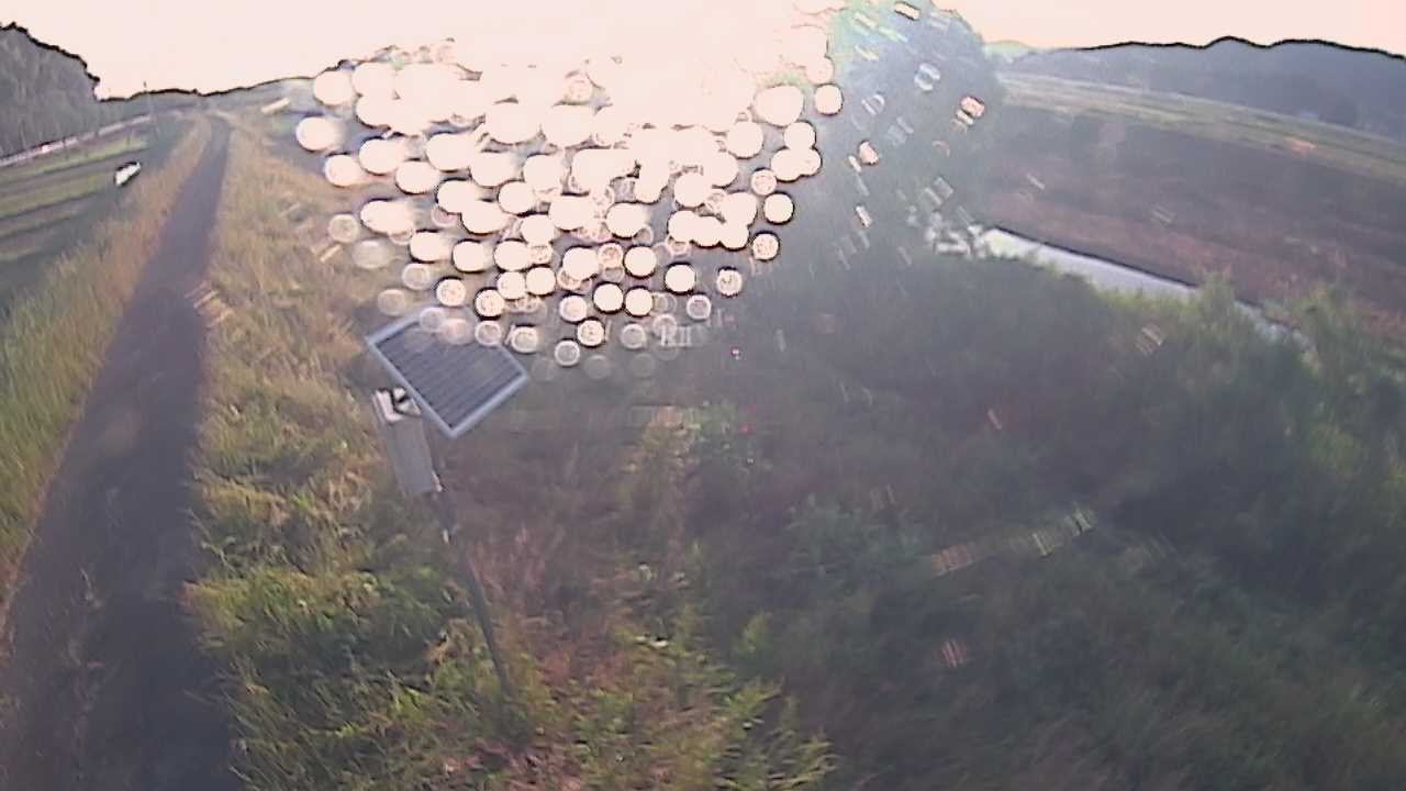 福成　法勝寺川 5k800 左岸