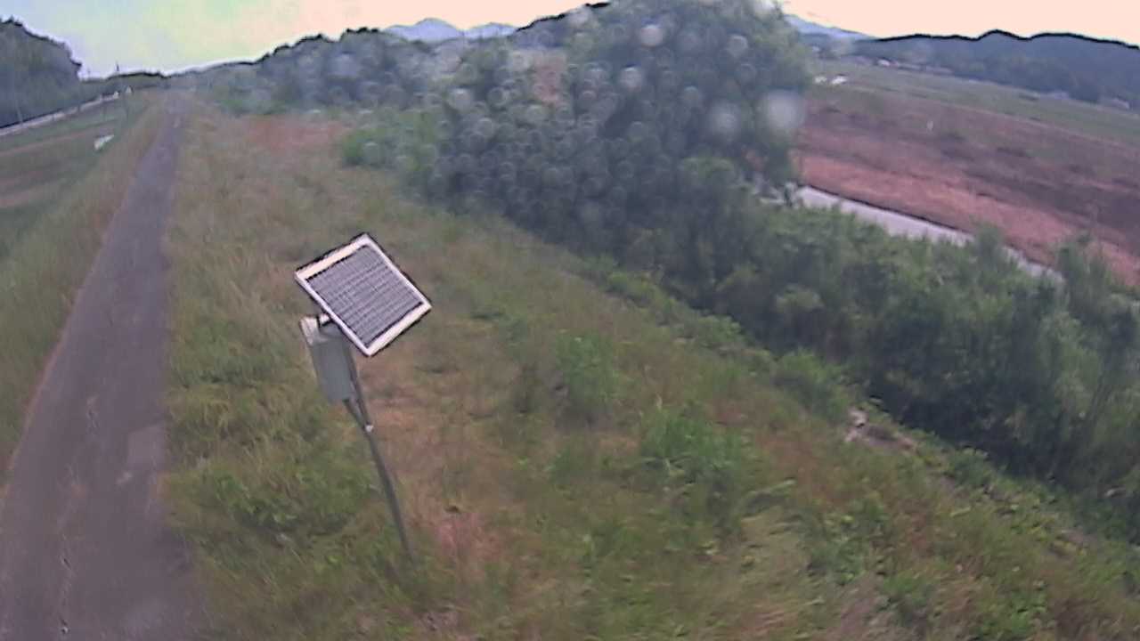 福成　法勝寺川 5k800 左岸