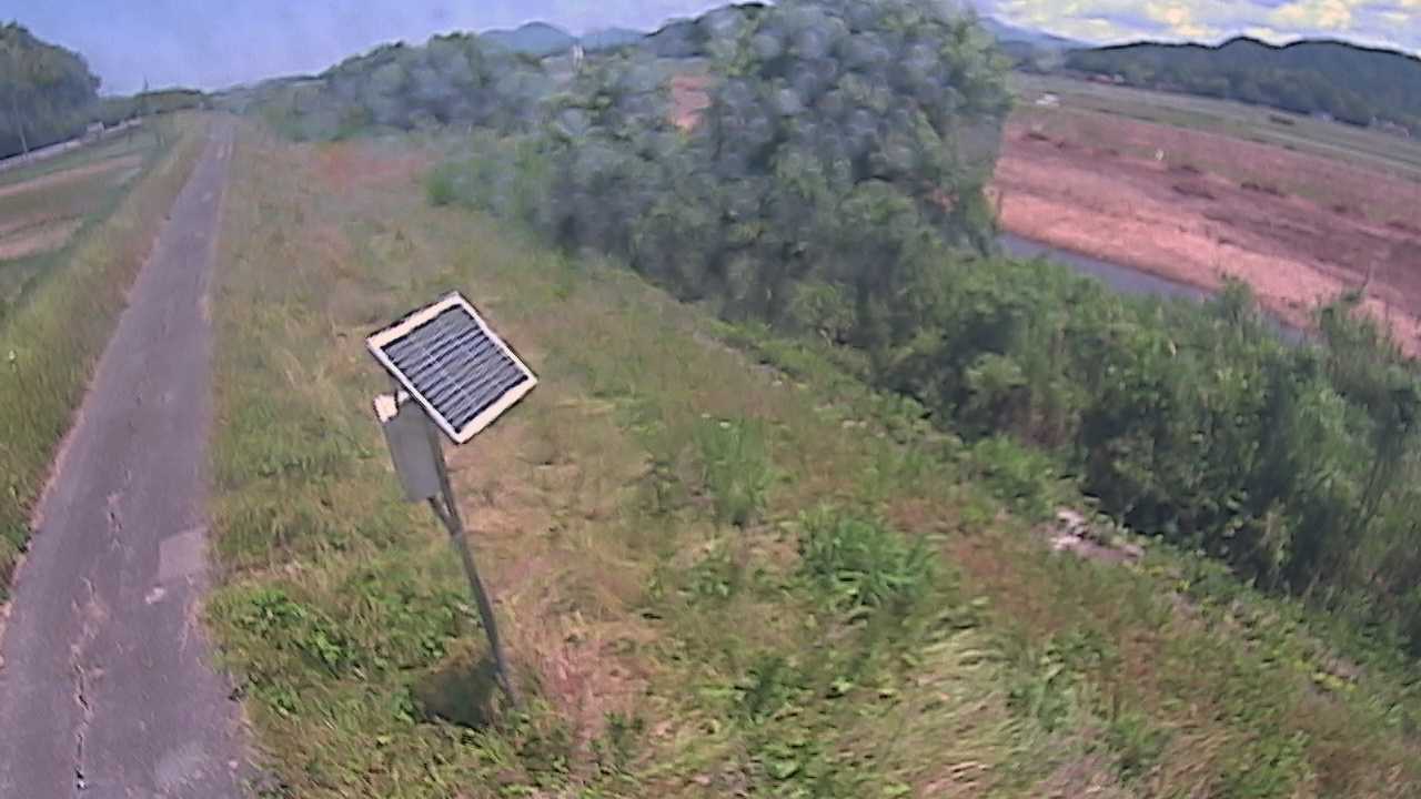 福成　法勝寺川 5k800 左岸