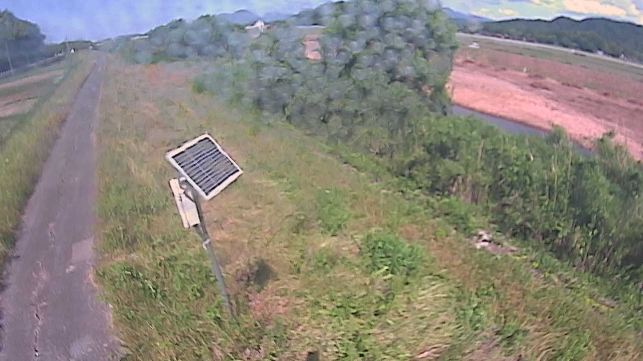 福成　法勝寺川 5k800 左岸