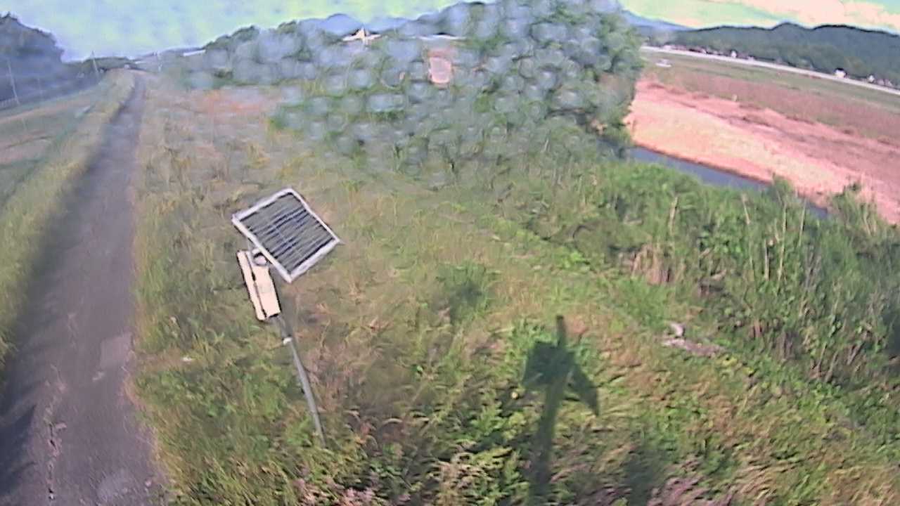 福成　法勝寺川 5k800 左岸