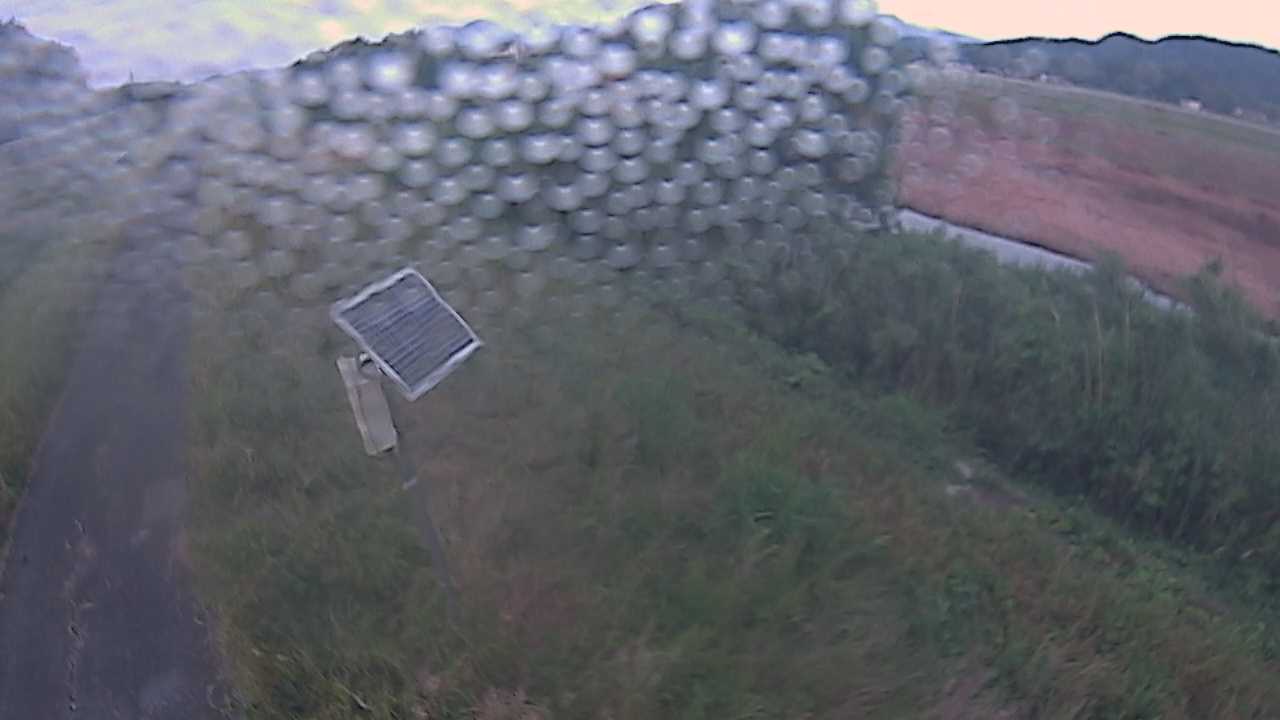福成　法勝寺川 5k800 左岸