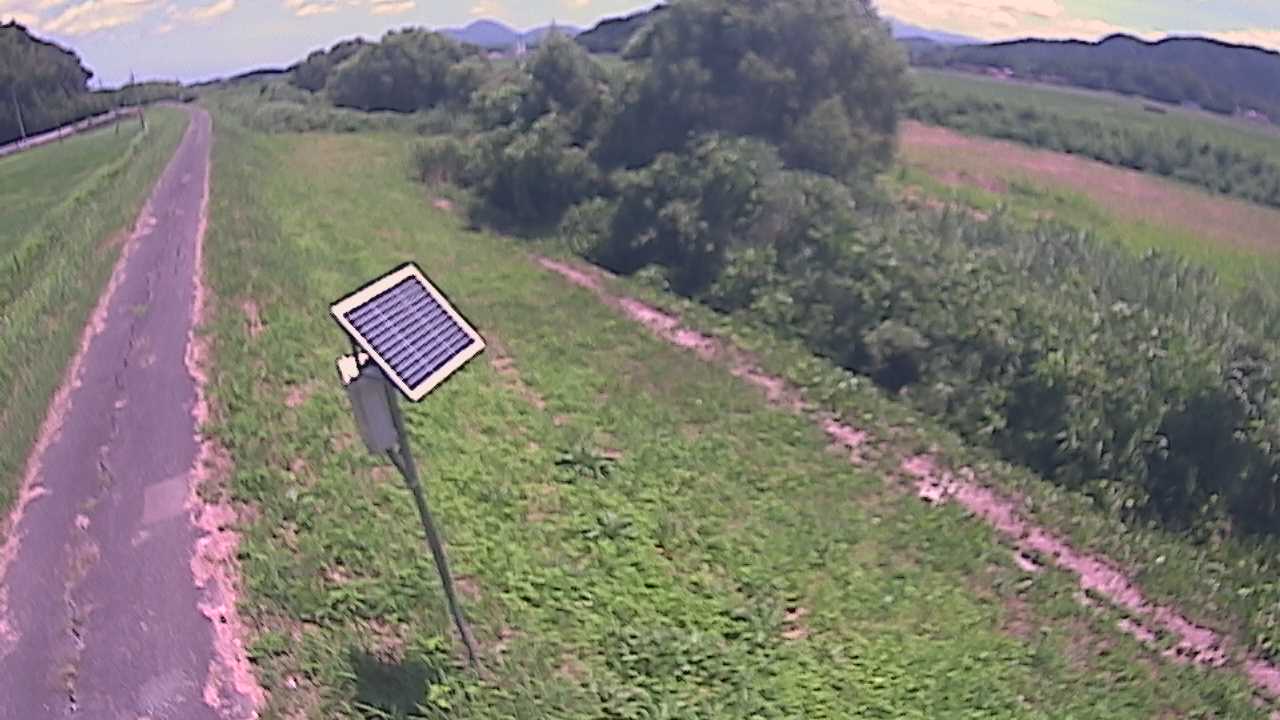 福成　法勝寺川 5k800 左岸