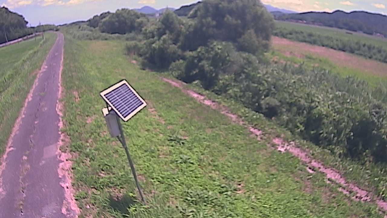 福成　法勝寺川 5k800 左岸