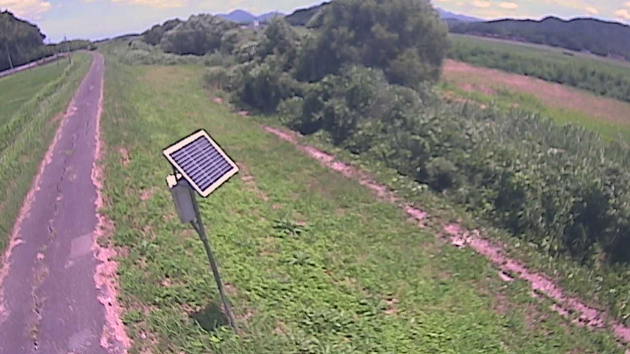 福成　法勝寺川 5k800 左岸