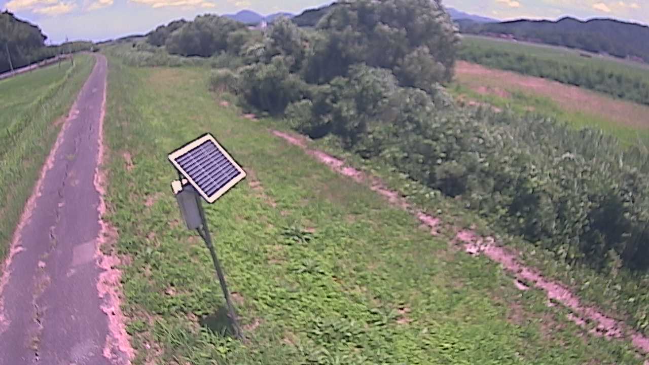 福成　法勝寺川 5k800 左岸