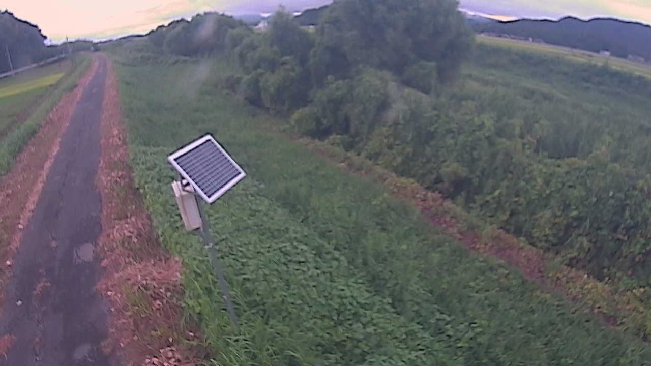 福成　法勝寺川 5k800 左岸