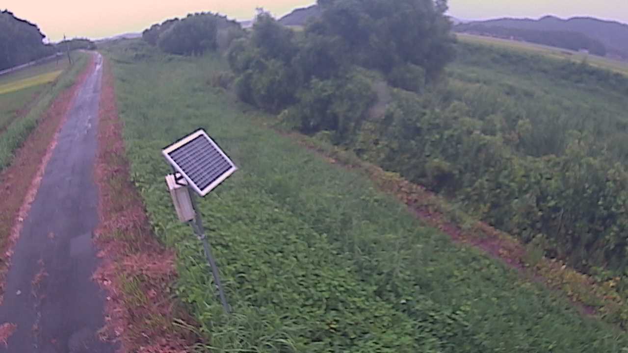 福成　法勝寺川 5k800 左岸