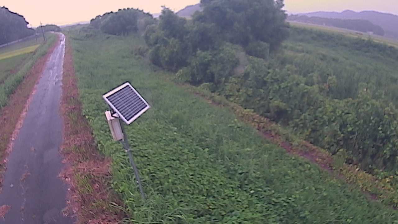 福成　法勝寺川 5k800 左岸