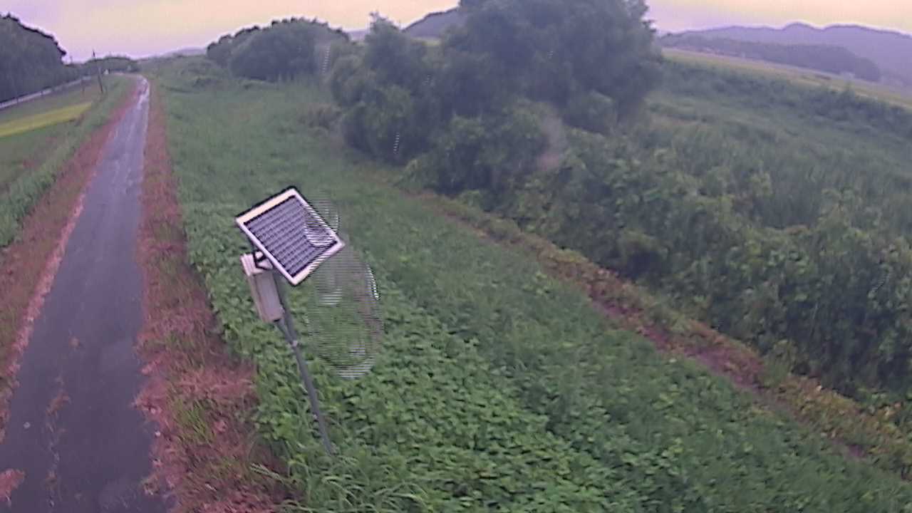福成　法勝寺川 5k800 左岸