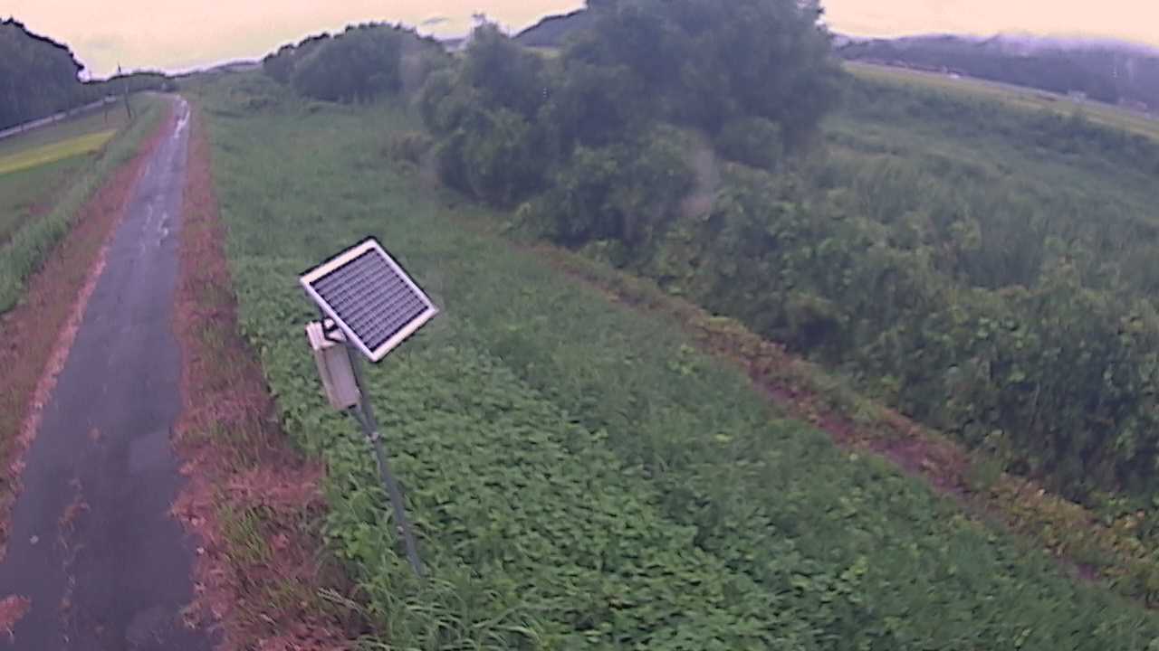 福成　法勝寺川 5k800 左岸