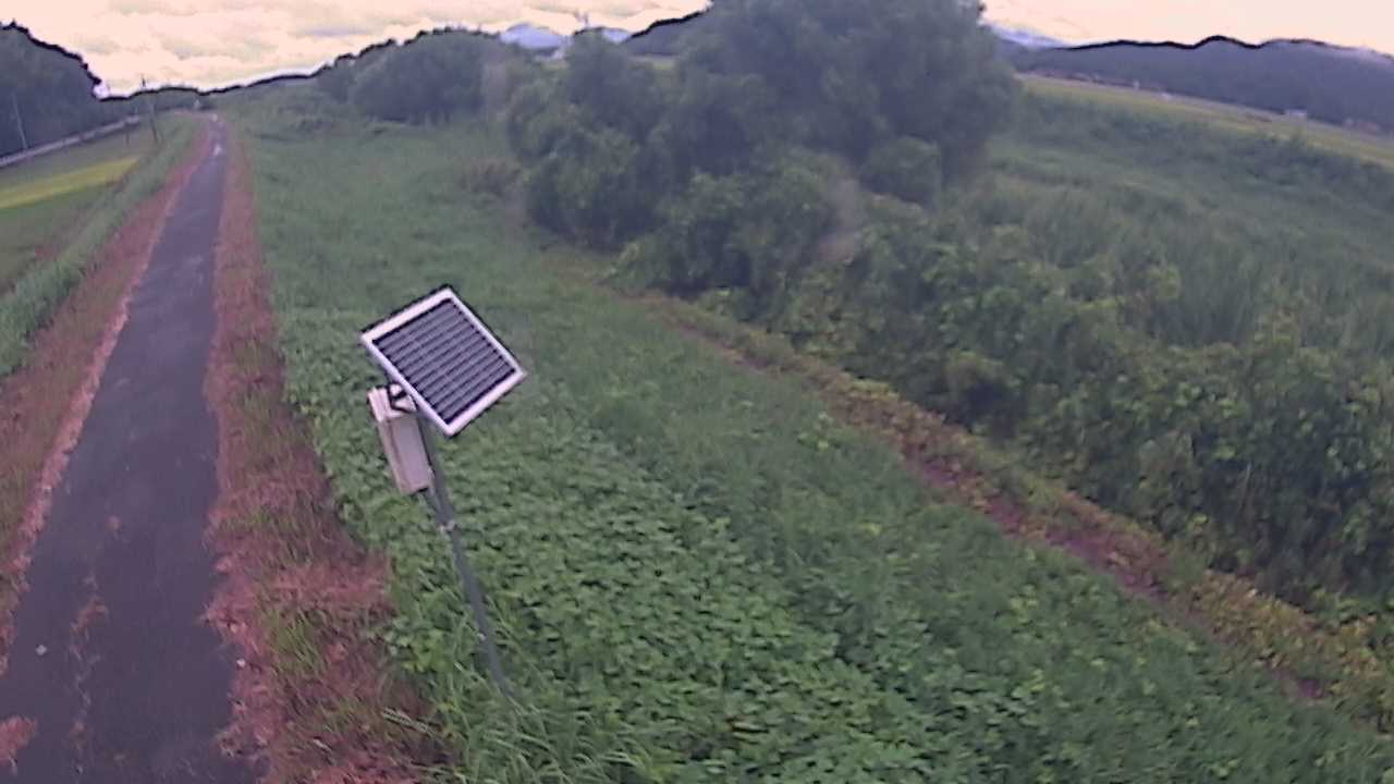福成　法勝寺川 5k800 左岸