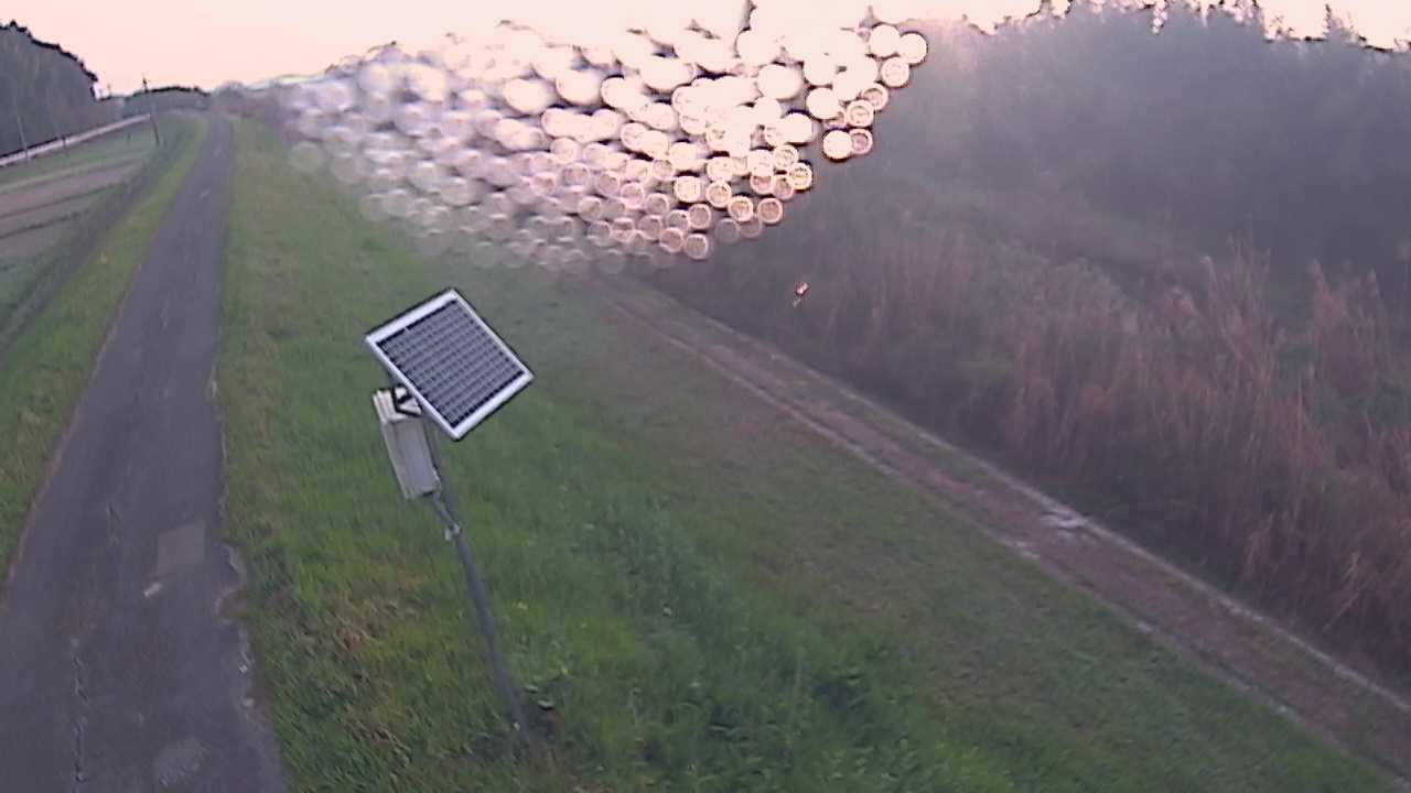 福成　法勝寺川 5k800 左岸