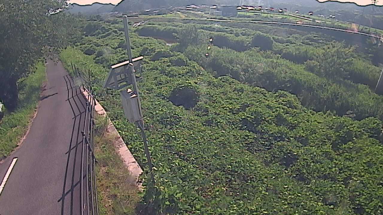 阿賀　法勝寺川 8k120 右岸