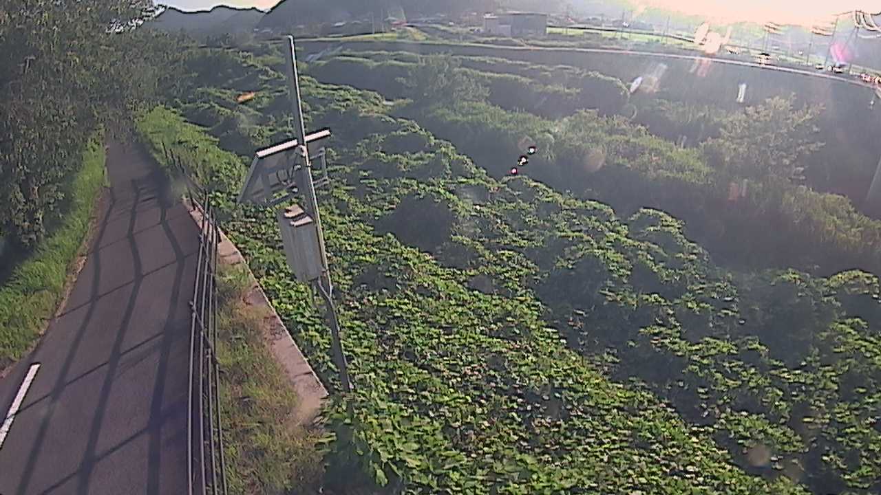 阿賀　法勝寺川 8k120 右岸