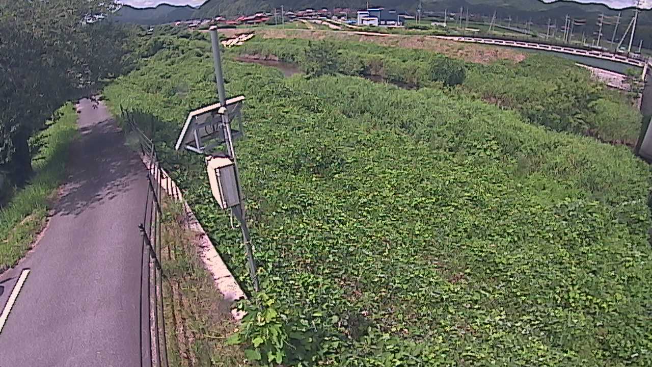 阿賀　法勝寺川 8k120 右岸
