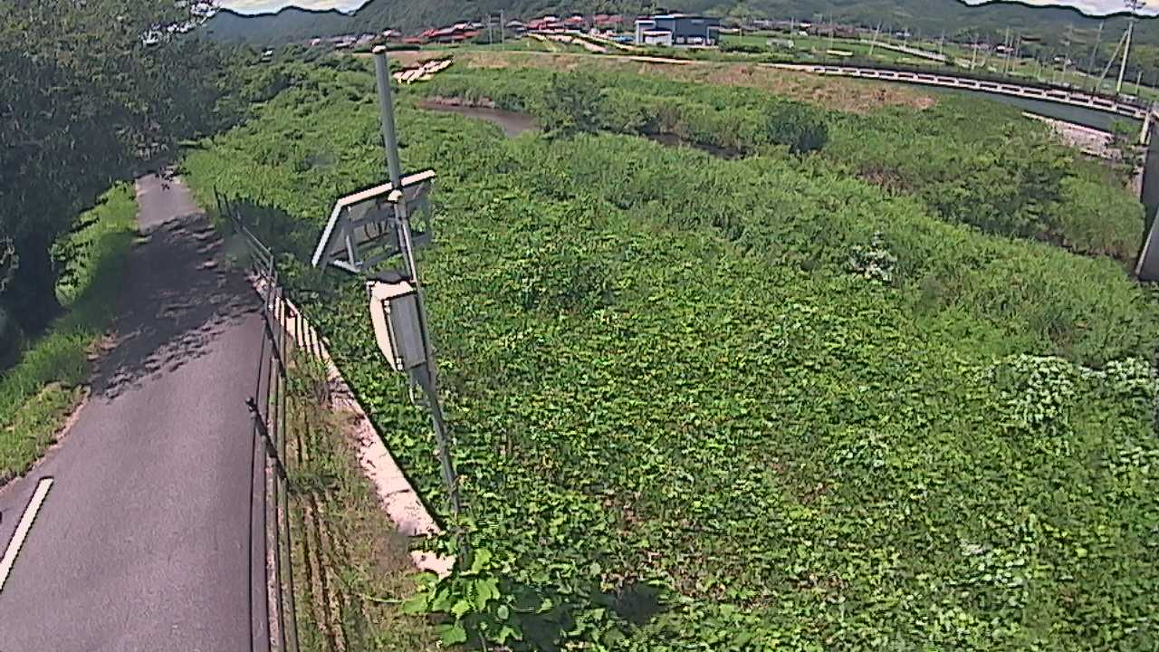 阿賀　法勝寺川 8k120 右岸