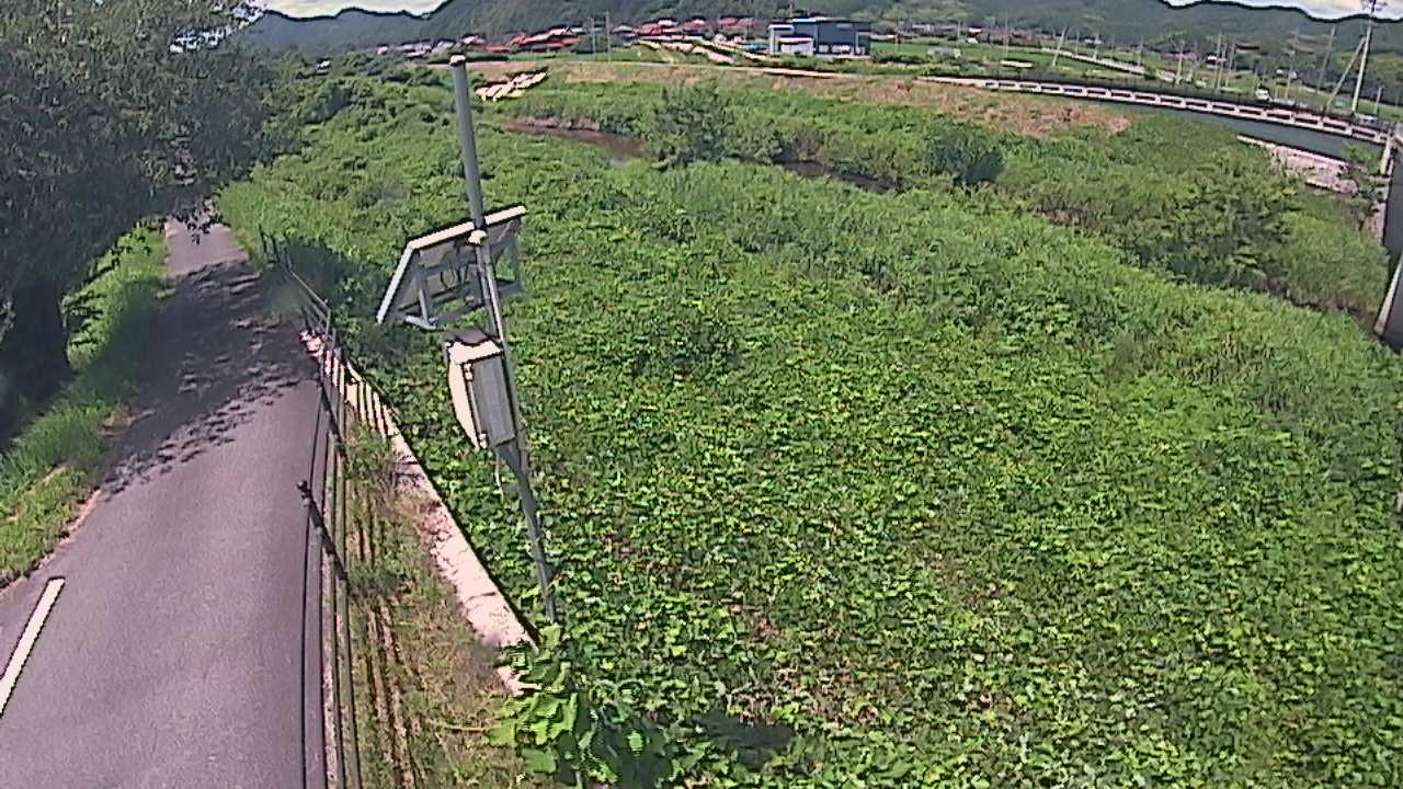 阿賀　法勝寺川 8k120 右岸