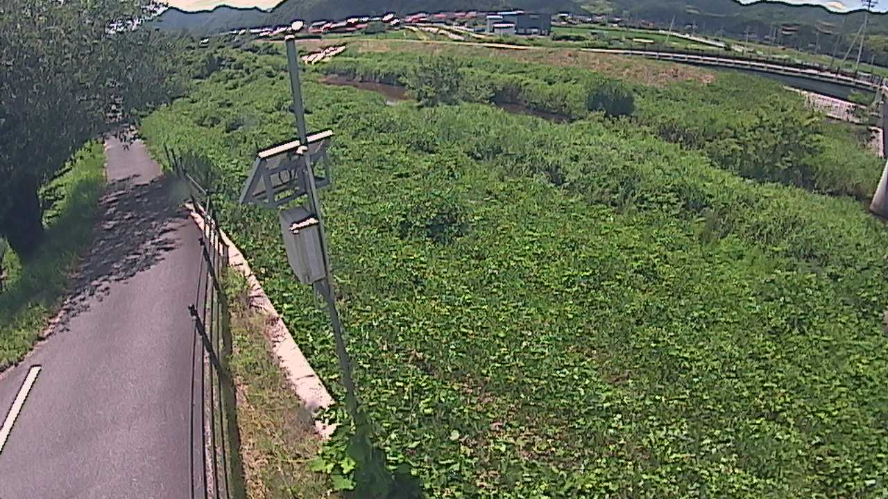 阿賀　法勝寺川 8k120 右岸