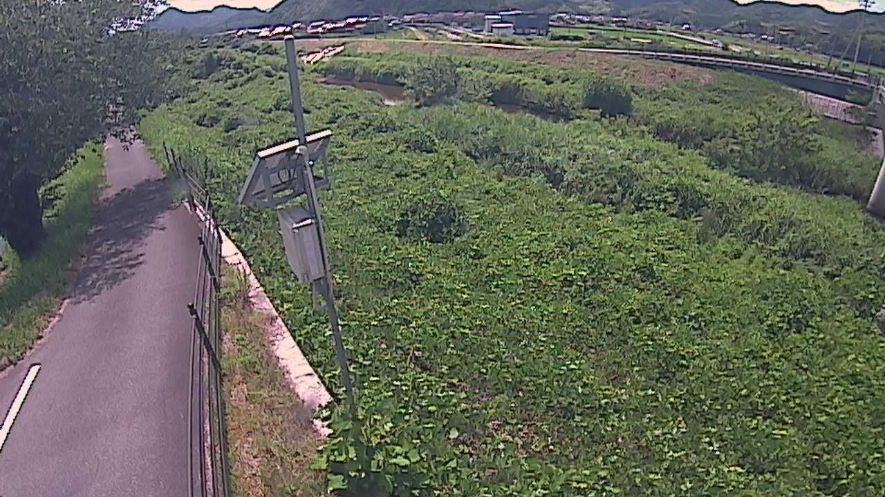 阿賀　法勝寺川 8k120 右岸