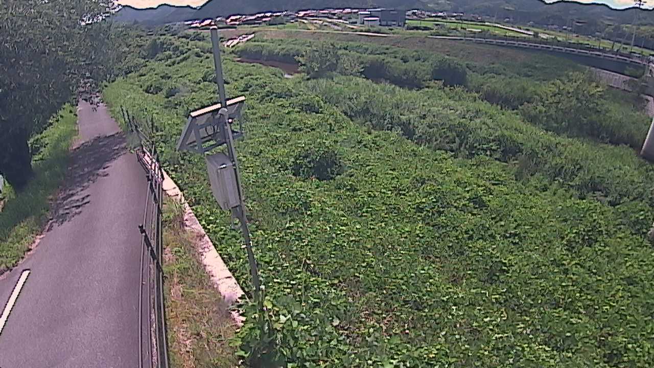 阿賀　法勝寺川 8k120 右岸