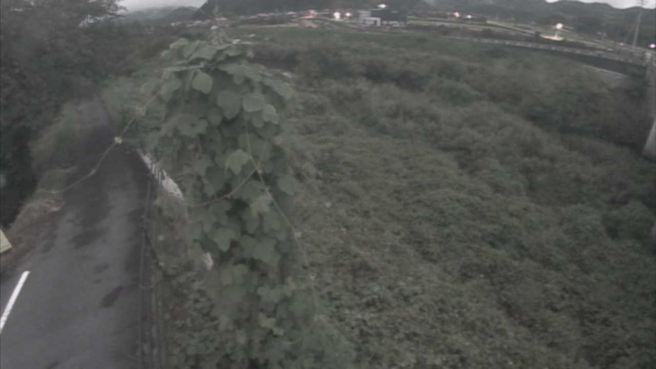阿賀　法勝寺川 8k120 右岸