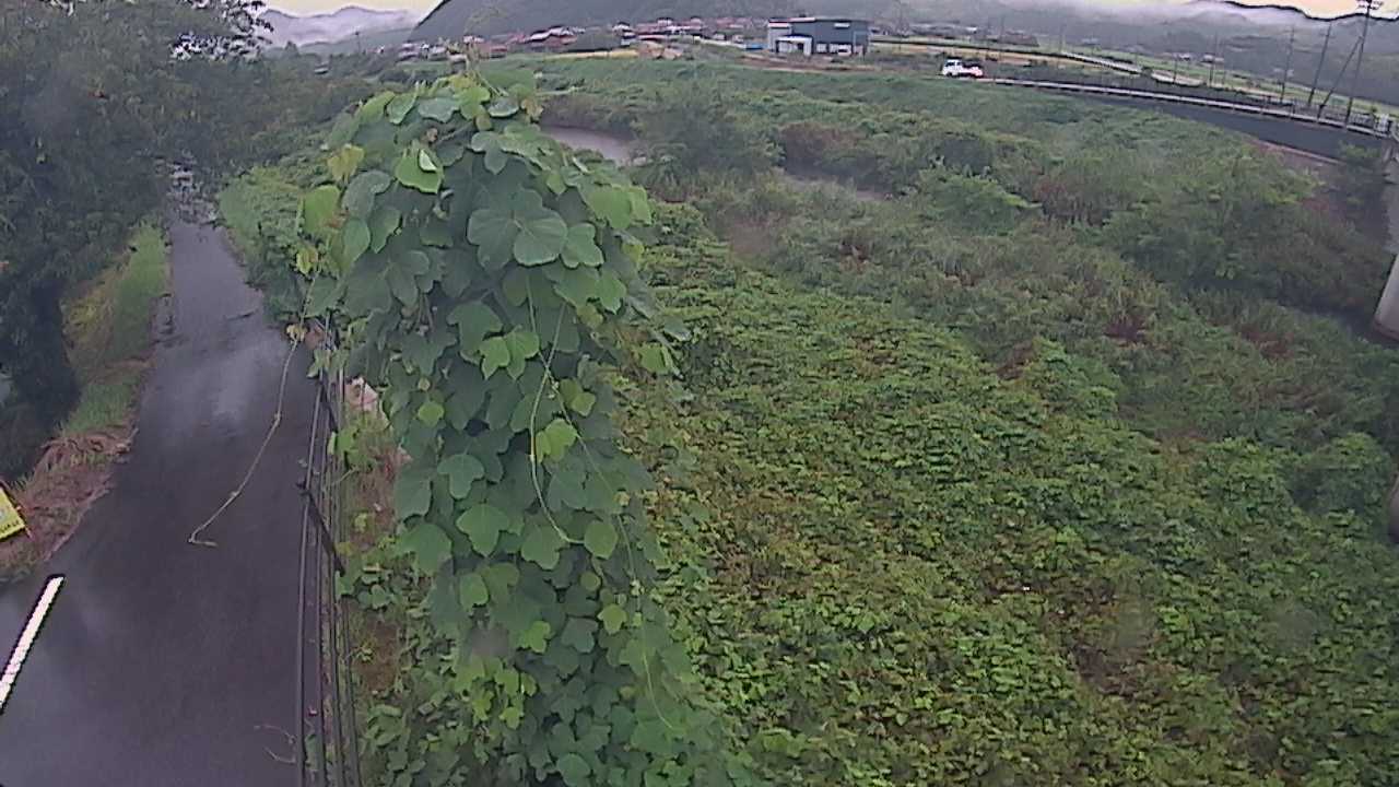 阿賀　法勝寺川 8k120 右岸