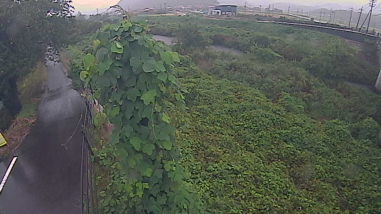 阿賀　法勝寺川 8k120 右岸