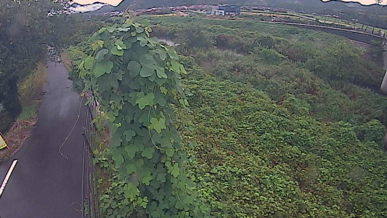 阿賀　法勝寺川 8k120 右岸