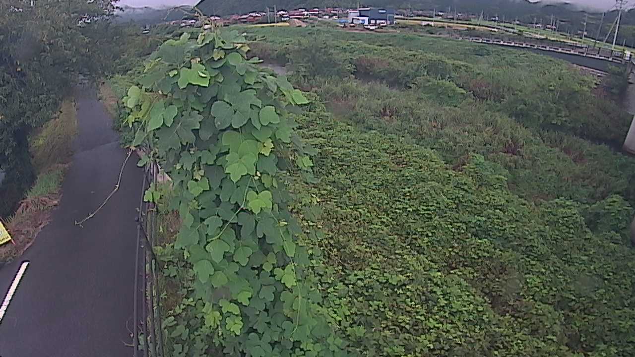 阿賀　法勝寺川 8k120 右岸