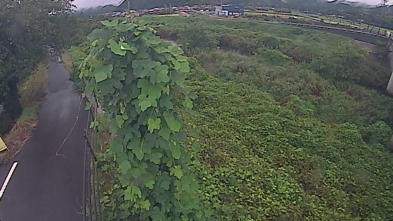 阿賀　法勝寺川 8k120 右岸