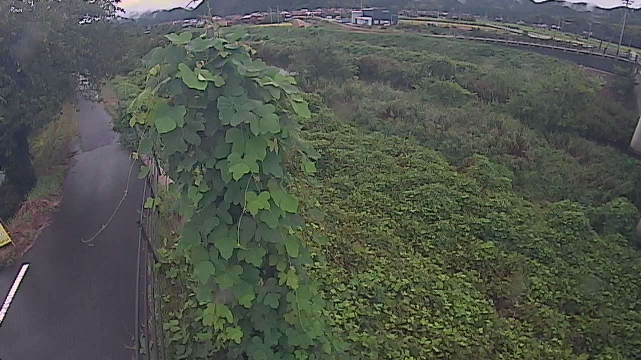 阿賀　法勝寺川 8k120 右岸