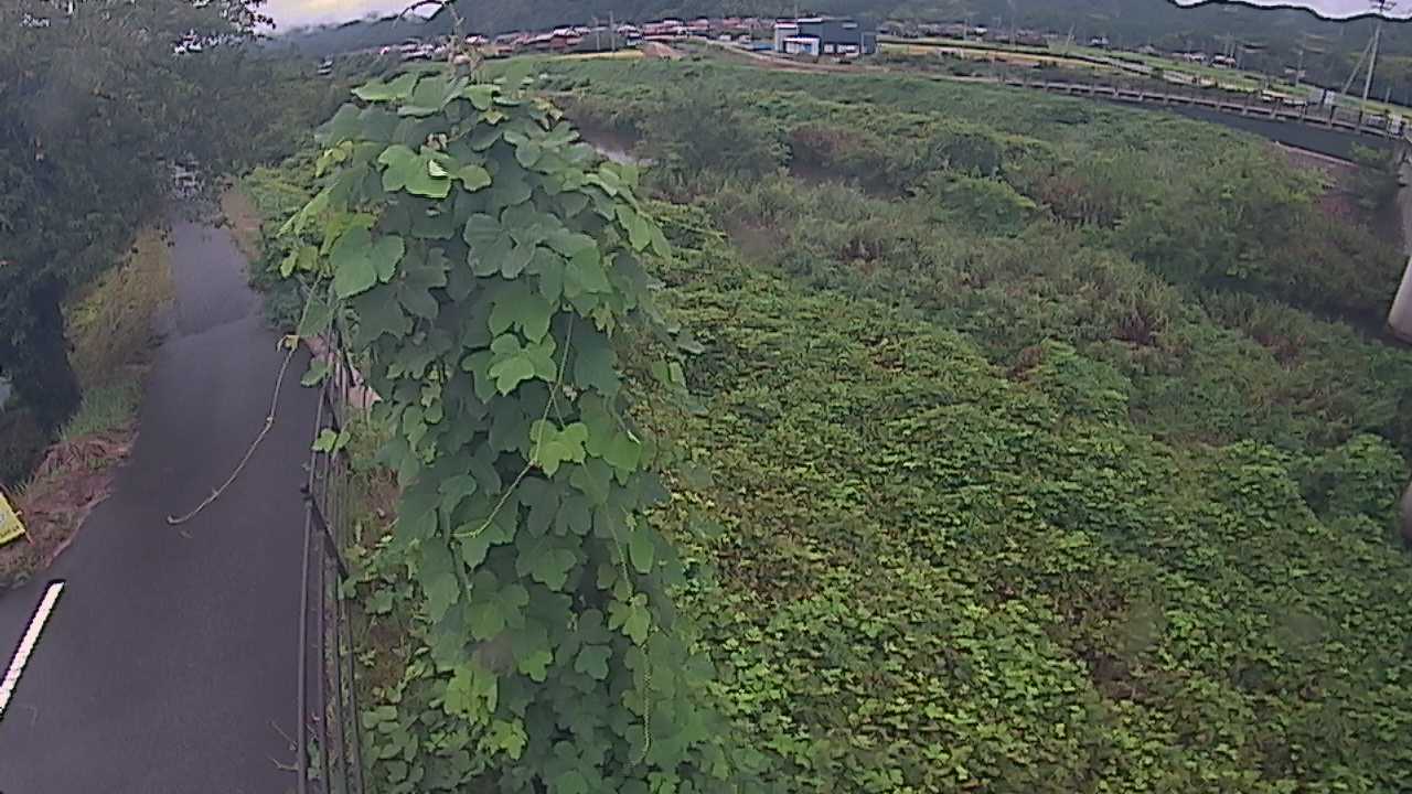 阿賀　法勝寺川 8k120 右岸