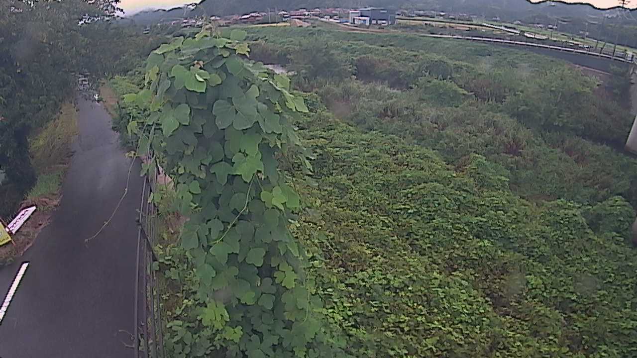 阿賀　法勝寺川 8k120 右岸