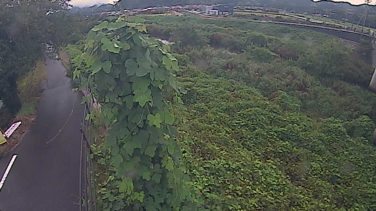阿賀　法勝寺川 8k120 右岸