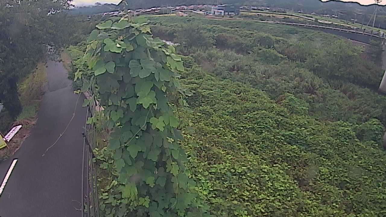 阿賀　法勝寺川 8k120 右岸