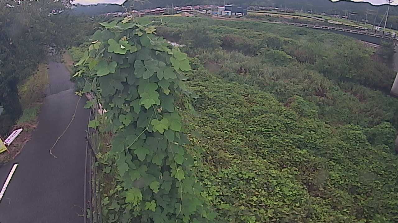 阿賀　法勝寺川 8k120 右岸